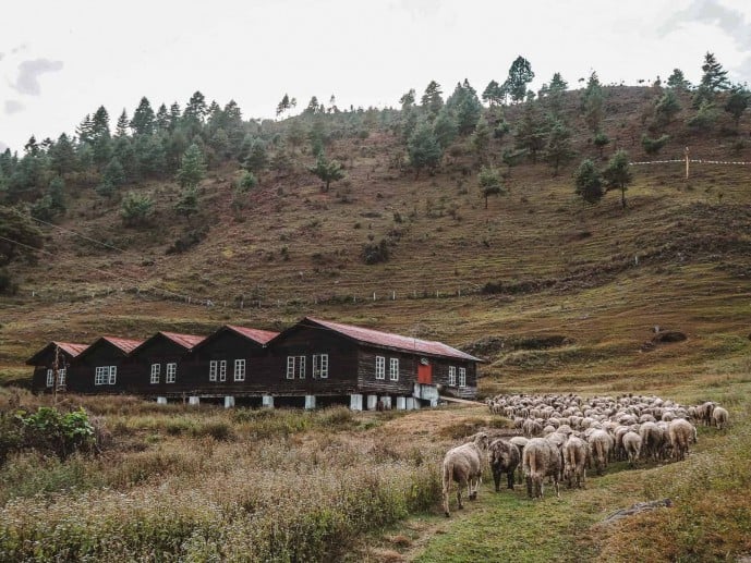 Shangti Valley Tour with Sela Pass Image