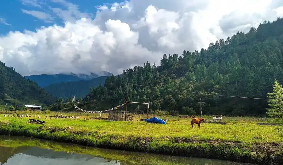 Shergaon and Shangti Valley Tour with Sela Pass Image