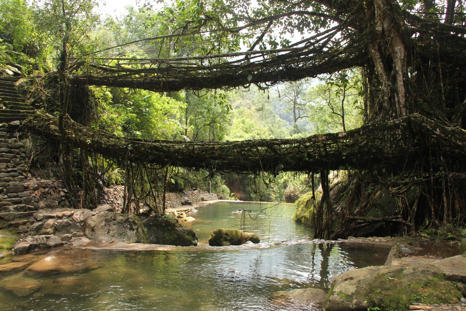 Meghalaya - Living Root Bridge