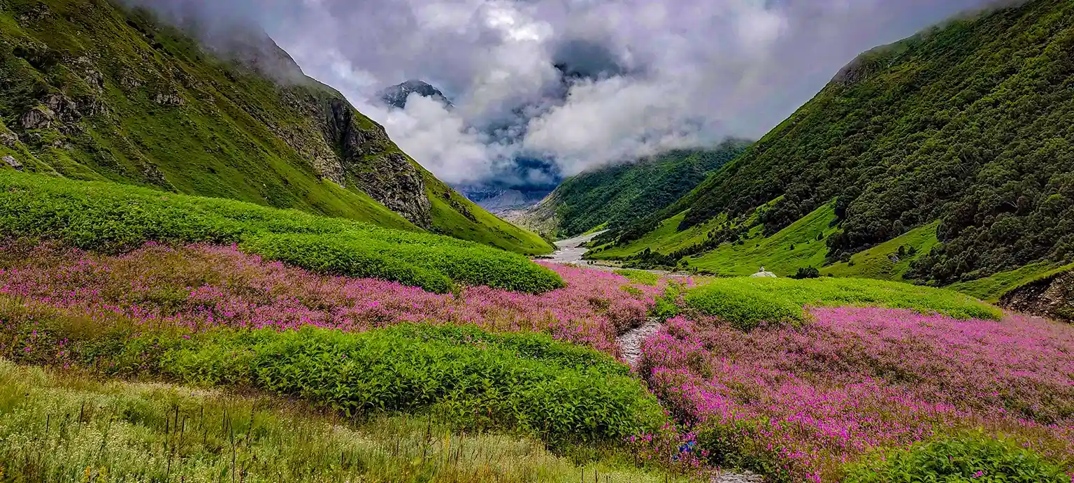Uttarakhand - Valley of Flowers